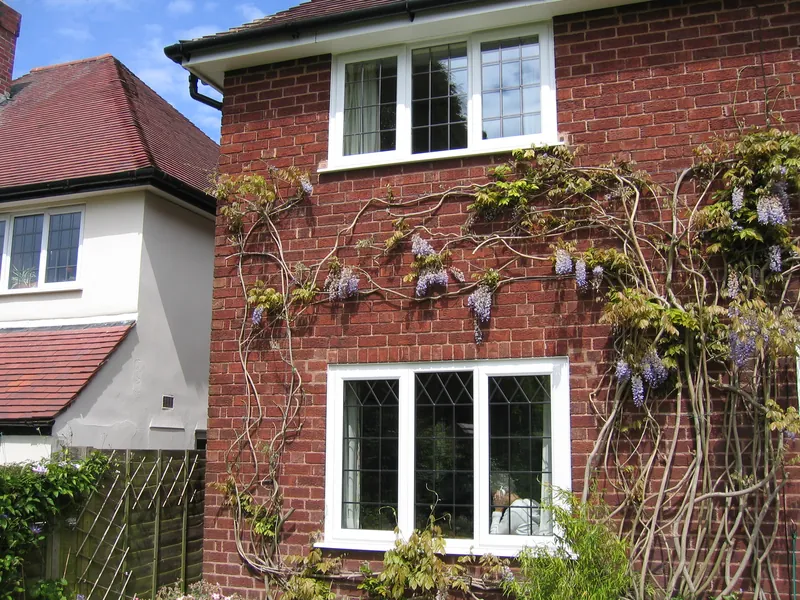 Edwardian Conservatory — Gallery Peckham